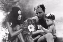 Cơn ác mộng hãi hùng của dòng họ siêu sao Hollywood