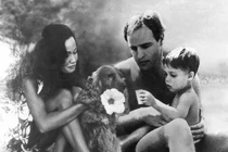 Cơn ác mộng hãi hùng của dòng họ siêu sao Hollywood