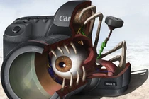 Hình ảnh rùng mình: Khi sản phẩm công nghệ là cơ thể sống