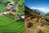 Choáng ngợp "ruộng bậc thang Việt Nam" trên dãy Himalaya