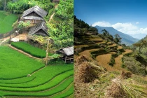 Choáng ngợp "ruộng bậc thang Việt Nam" trên dãy Himalaya