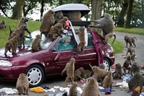 Dở khóc dở cười với những sự cố trên đường du lịch 