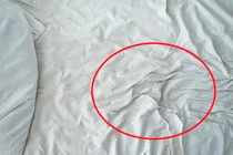 Trở về phát hiện nhà bị đột nhập và điều ghê tởm trên ga giường