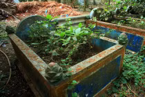 Tận mục nghĩa địa “heo thành tinh” ở đất phương Nam