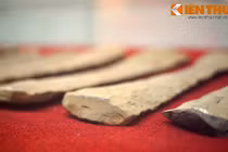 Soi “báu vật” 3.000 tuổi khiến thế giới nể phục của VN