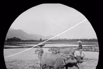 Việt Nam năm 1904-1907 trong ảnh của Gabrielle M. Vassal (2)