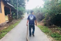 Bắt hổ mang chúa khổng lồ bằng tay không, kéo lê trên đường 