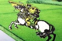 Tuyệt tác khổng lồ trên đồng ruộng Nhật Bản