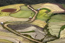 Ảnh đẹp khó tin về VN của phó nháy Nga