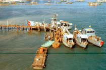 Miền Nam Việt Nam 1971-1972 trong ảnh lính trực thăng Mỹ (1)