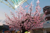 Độc đáo cây đào giả chơi Tết Giáp Ngọ