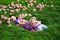 Khu vườn tuyệt đẹp của mẹ Việt ở cánh đồng hoa nổi tiếng thế giới