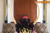 Bí mật đẫm máu sau cặp ngà voi khổng lồ ở Dinh Độc Lập