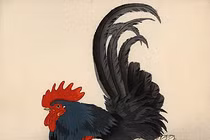Mê đắm vẻ đẹp của gà trong tranh cổ Nhật Bản