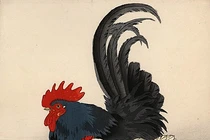 Mê đắm vẻ đẹp của gà trong tranh cổ Nhật Bản