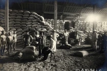 Soi nền kinh tế lúa gạo sầm uất ở Chợ Lớn năm 1925