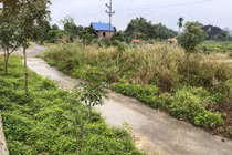 Lãnh địa mộ cổ khổng lồ ở Hải Phòng và bí ẩn sấm truyền kho báu