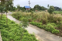 Lãnh địa mộ cổ khổng lồ ở Hải Phòng và bí ẩn sấm truyền kho báu