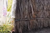 Bị mẹ đuổi khỏi nhà, bé gái phải ngủ chuồng gà