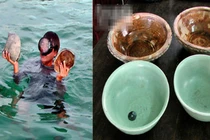 Bàng hoàng các vụ “xé xác” tàu cổ ở Việt Nam