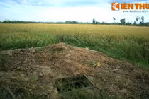 Thám hiểm hầm bí mật thời chiến tranh Việt Nam ở Huế