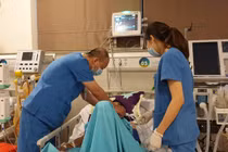 Nắng như đổ lửa: 2 người tử vong, nhiều người đột quỵ