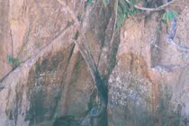 Kỳ bí văn tự cổ trên vách đá giữa đại ngàn Trường Sơn