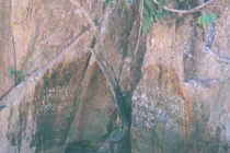 Kỳ bí văn tự cổ trên vách đá giữa đại ngàn Trường Sơn