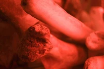 Hàng chục bộ xương kỳ lạ trong ngôi đình cổ 