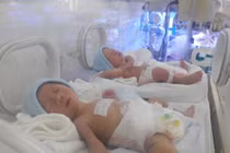 Cặp song sinh nhờ mang thai hộ sẽ gọi mẹ đẻ là cô