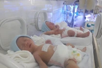 Cặp song sinh nhờ mang thai hộ sẽ gọi mẹ đẻ là cô