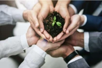 Phúc họa cũng từ đây