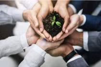 Phúc họa cũng từ đây