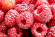 Đặc sản nhập ngoại “cực lạ” ở Việt Nam