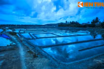 Vẻ kỳ ảo của “cánh đồng gương” khổng lồ ở miền Trung