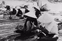 Quy Nhơn năm 1955 trong ảnh của điệp viên Mỹ