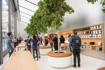 Ngắm diện mạo mới của cửa hàng Apple Store sau 15 năm