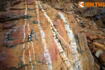 Tận mục những tảng đá “ngựa vằn” cực lạ ở bờ biển Quảng Bình