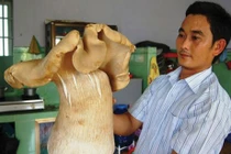 Trời chưa sáng, đốt đuốc đi tranh tìm nấm mối