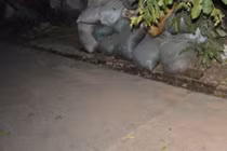 Mẹ chồng, con dâu lột quần, đốt vùng kín nữ hàng xóm giữa HN