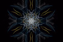 Bạn đã biết tới những trang web kỳ quặc này chưa? (1)