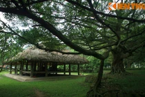 Thăm chiến khu Tân Trào - cái nôi của Cách mạng tháng Tám