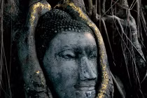 Cận cảnh tượng Phật kỳ lạ nhất thế giới