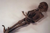 Cận cảnh hàng loạt xác ướp quái vật ở Nhật Bản