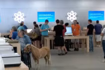 Những hình ảnh hài hước chỉ có tại Apple Store