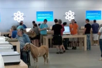 Những hình ảnh hài hước chỉ có tại Apple Store