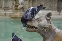 7 loại đồ uống rất tốt cho tim mạch 