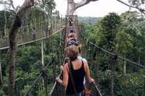 Những cây cầu độc dị nhất hành tinh (1)