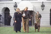 Ngắm thú cưng dễ thương của Cựu ngoại trưởng Mỹ Hillary Clinton