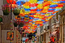 Kỳ lạ ngõ phố toàn ô màu sắc chói lòa 